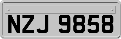 NZJ9858