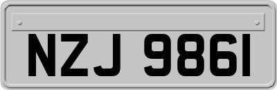 NZJ9861