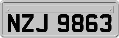 NZJ9863
