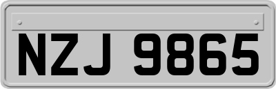 NZJ9865