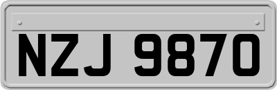 NZJ9870
