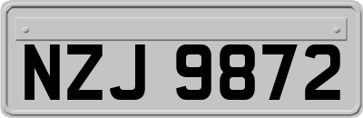 NZJ9872