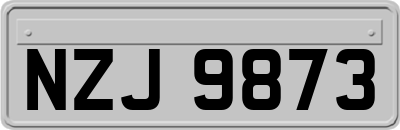 NZJ9873