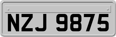 NZJ9875