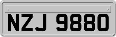 NZJ9880