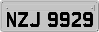NZJ9929