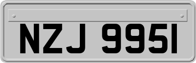 NZJ9951