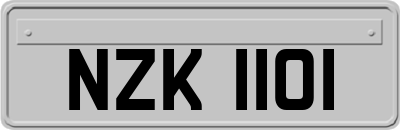 NZK1101