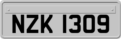 NZK1309