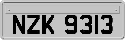 NZK9313