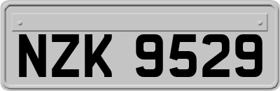 NZK9529