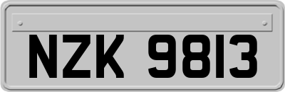 NZK9813