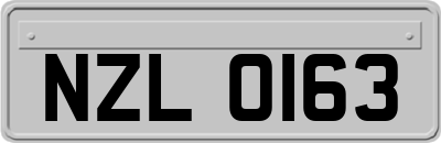 NZL0163
