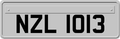 NZL1013