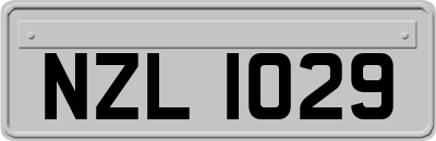 NZL1029