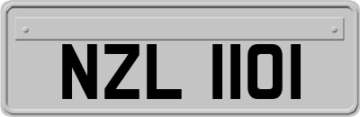 NZL1101