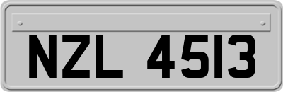 NZL4513