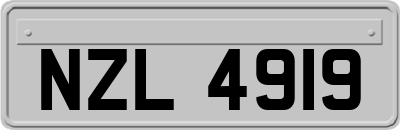 NZL4919