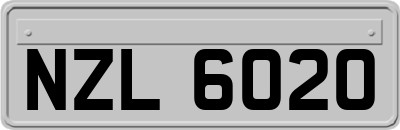 NZL6020