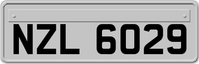 NZL6029