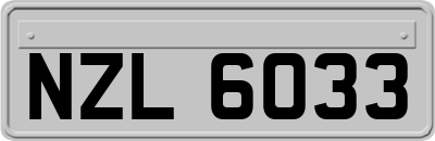 NZL6033