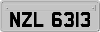 NZL6313
