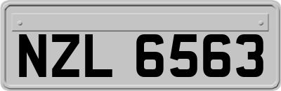 NZL6563