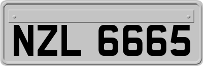 NZL6665
