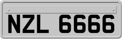 NZL6666