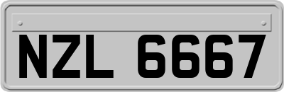 NZL6667