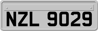 NZL9029