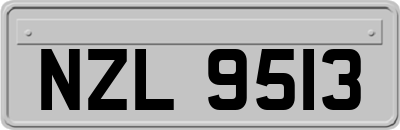 NZL9513