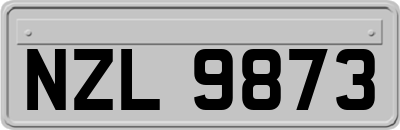 NZL9873