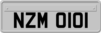 NZM0101