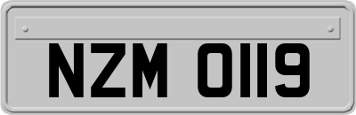 NZM0119