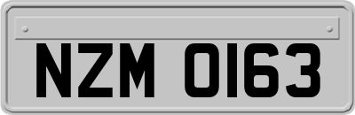 NZM0163