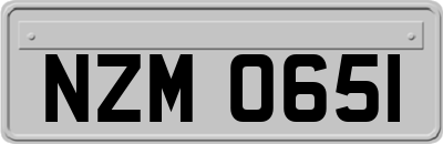 NZM0651