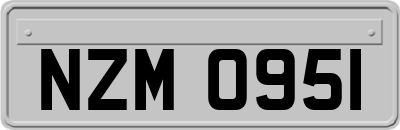 NZM0951