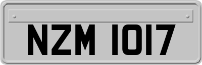 NZM1017