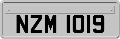 NZM1019