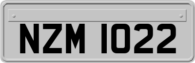 NZM1022