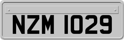 NZM1029
