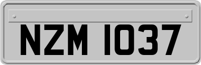 NZM1037