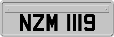 NZM1119