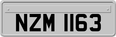 NZM1163