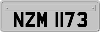 NZM1173