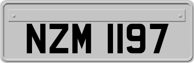 NZM1197