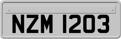NZM1203