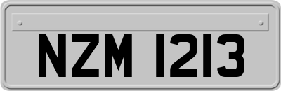 NZM1213