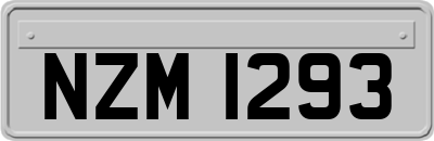 NZM1293